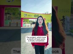 Cas du projet Shunde Bruce Lee