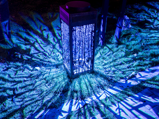 Le parc à thème professionnel 200w personnalisé Gobo Light Led Effect Gobo Projector