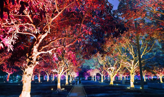 lumière d'inondation menée par RVB extérieure d'arbre de jardin des couleurs 36w pour la projection de paysage