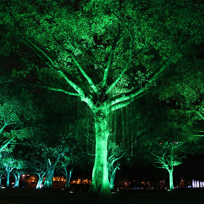 IP65 6W en aluminium extérieur résistant à l'eau Led Spike Tree Flood Light régler projecteur jardin éclairage paysage