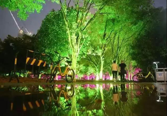 DMX512 RGBW 36W Arbre LED Lumière d'inondation LED Lampe de jardin LED Pour la projection de paysage