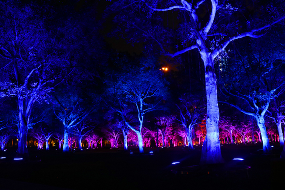 lumière d'inondation menée par RVB extérieure d'arbre de jardin des couleurs 36w pour la projection de paysage