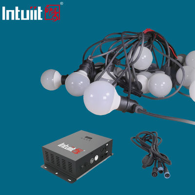 C.A. multi 100V de lumières de ficelle de globe de couleur d'ampoule d'ABS pour l'arbre de partie